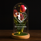 Ewige Tulpe in Glaskuppel als Valentinstagsgeschenk von Love & Faith
