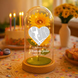 Ewige Sonnenblume in Glaskuppel als Valentinstagsgeschenk von Love & Faith