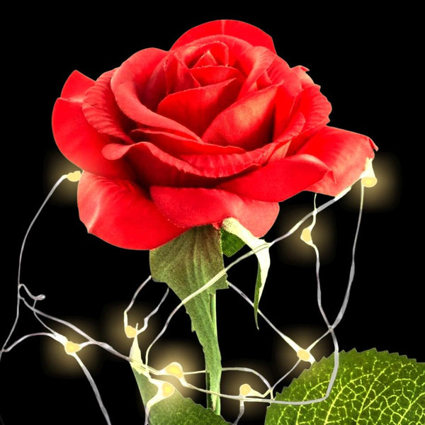 Für dich - Paar-Ewige Rose